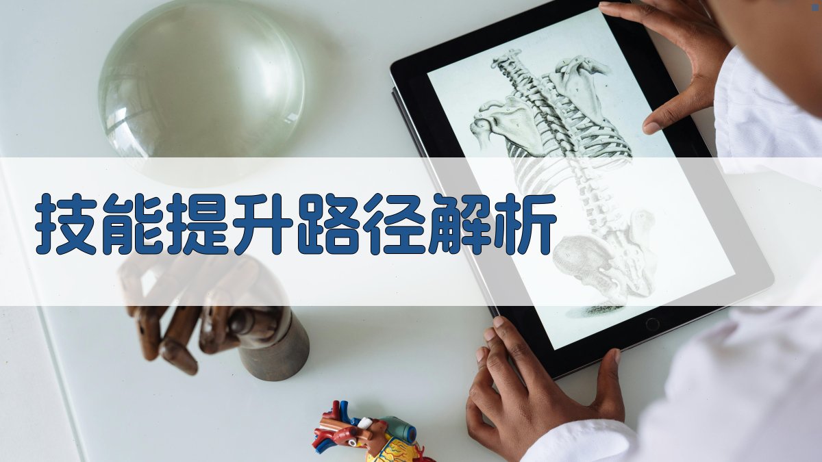 技能提升路径解析 图3