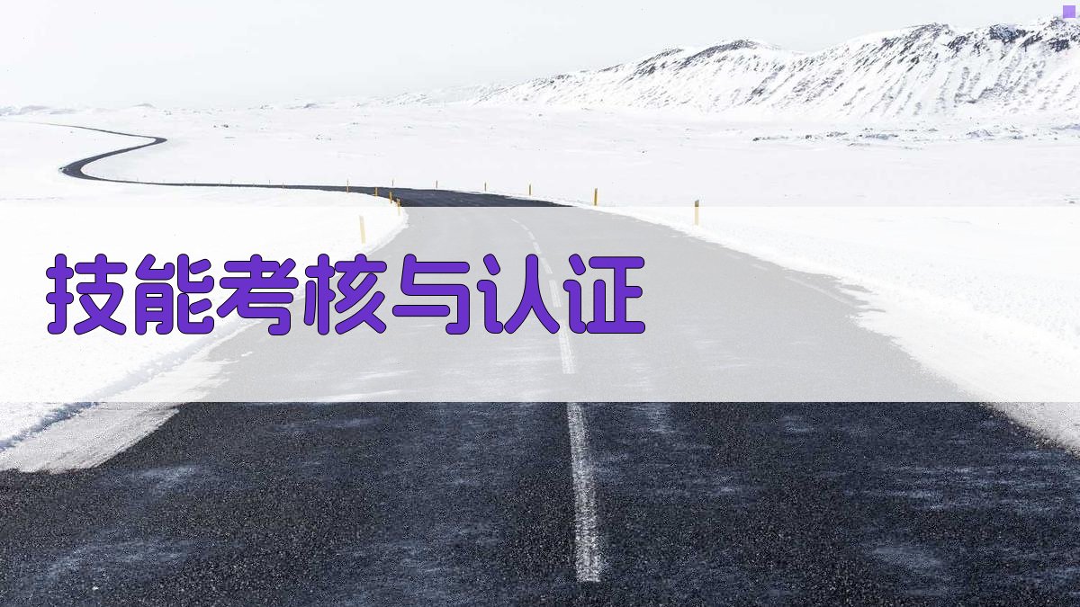 技能考核与认证 图3