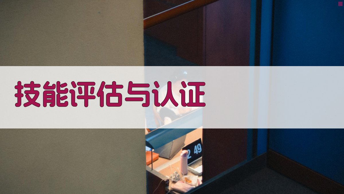 技能评估与认证 图2