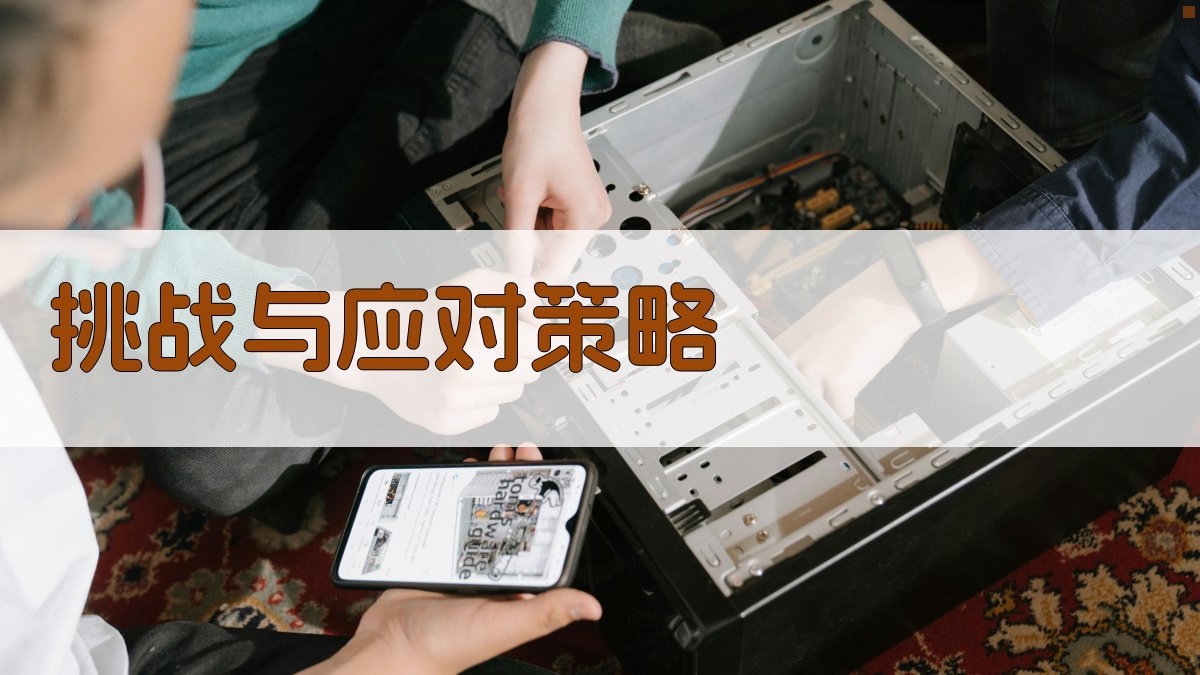 挑战与应对策略 图1