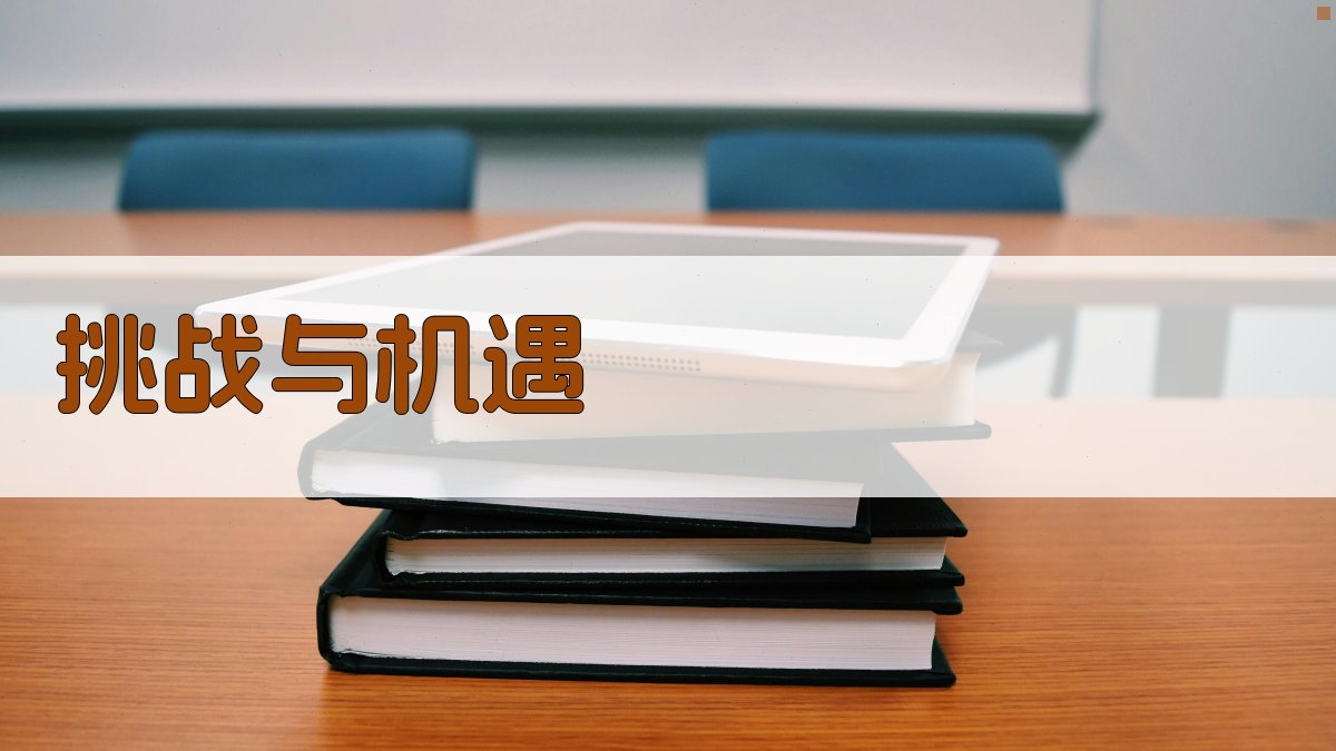 挑战与机遇 图2