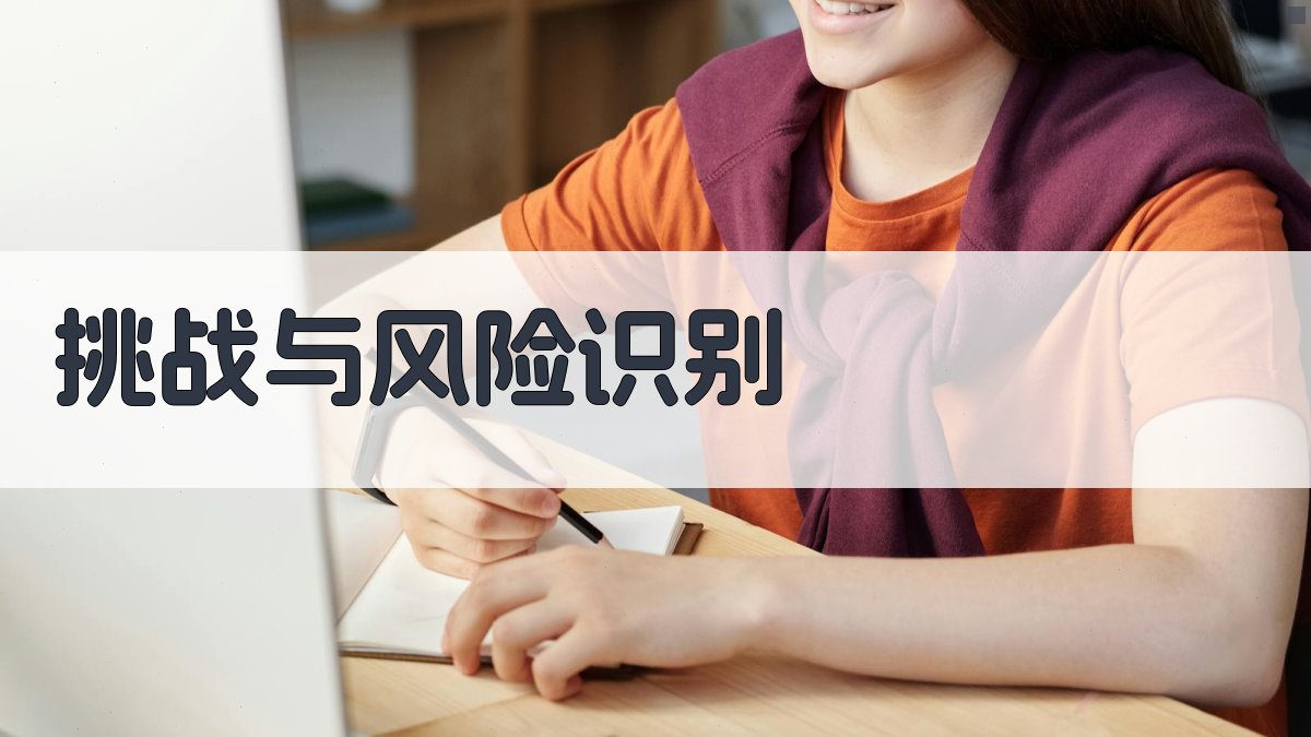 挑战与风险识别 图2
