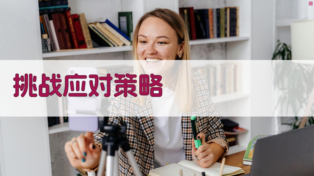 挑战应对策略 图3