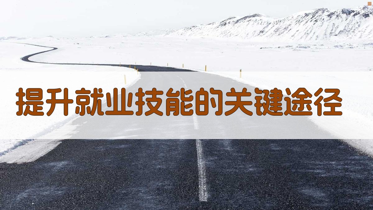 提升就业技能的关键途径 图3
