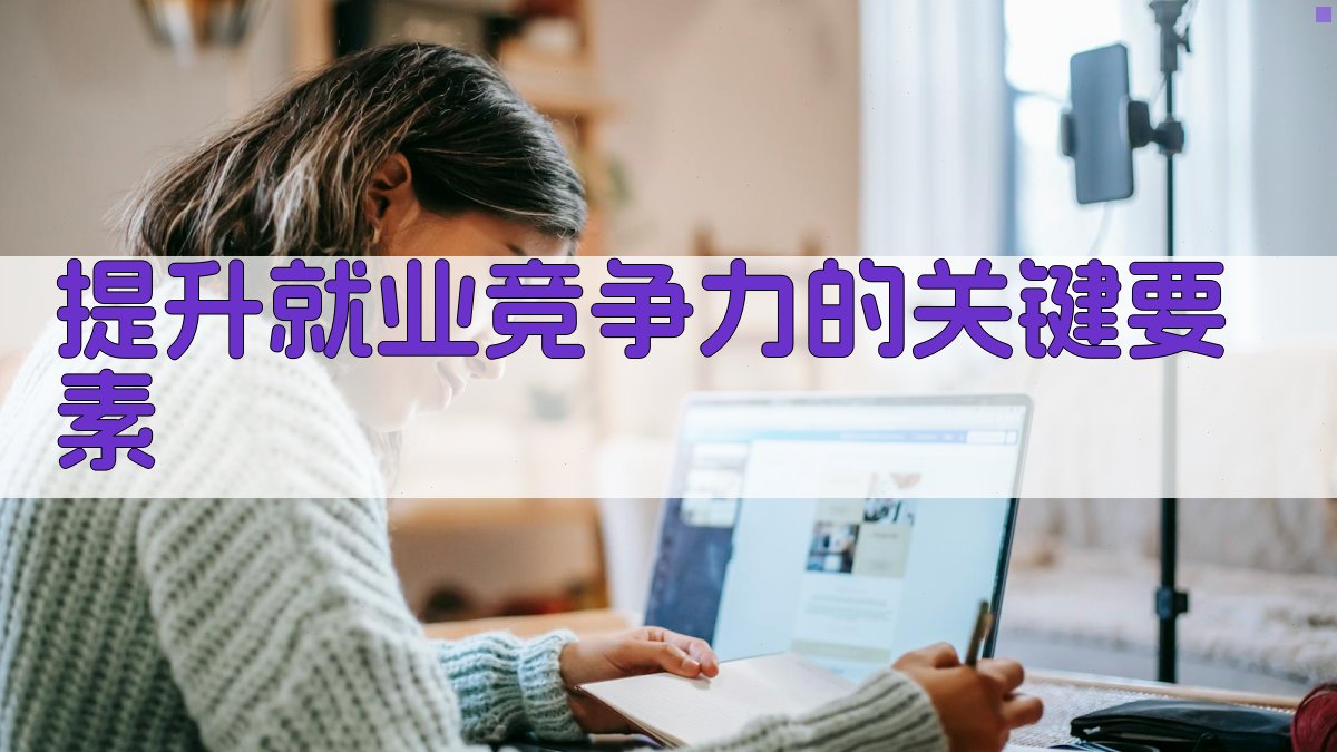提升就业竞争力的关键要素 图2