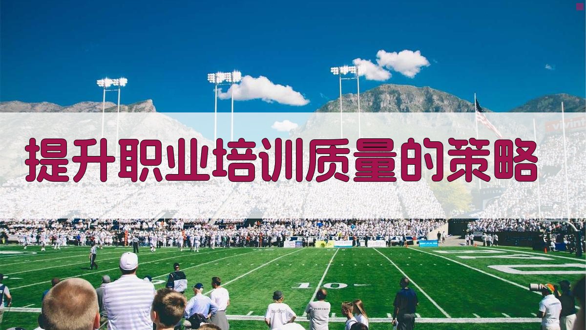 提升职业培训质量的策略 图2