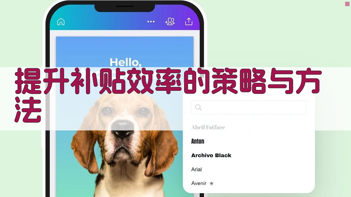 提升补贴效率的策略与方法 图2