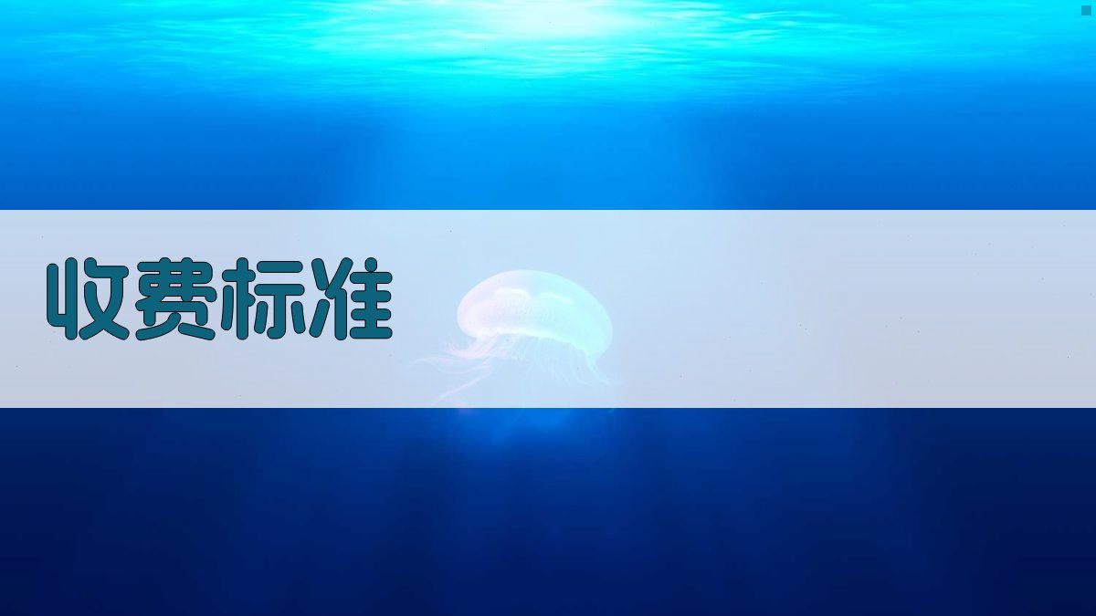 收费标准 图1