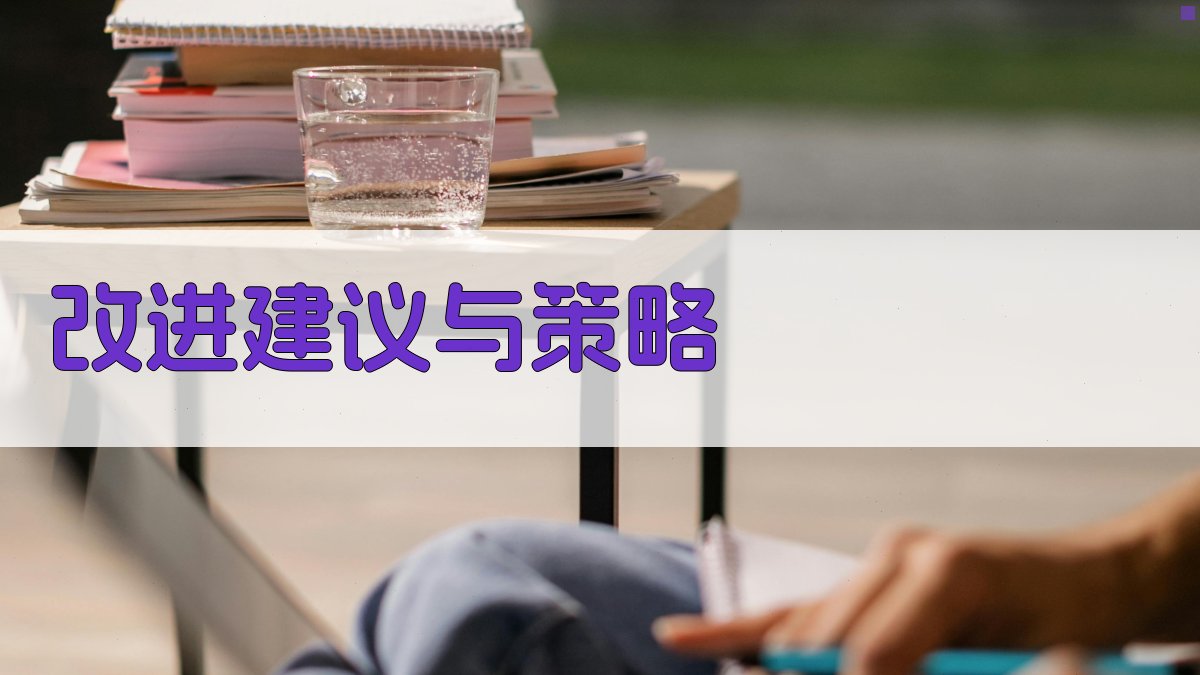 改进建议与策略 图3