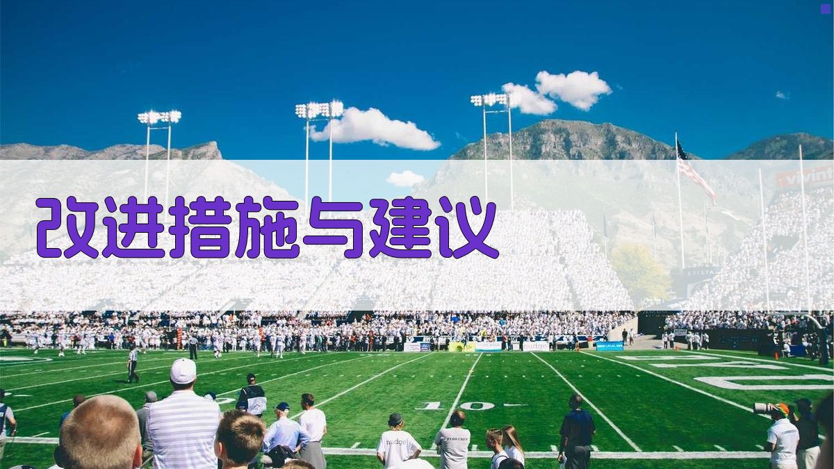 改进措施与建议 图3