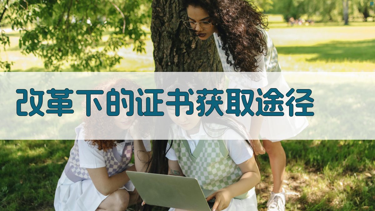 改革下的证书获取途径 图3
