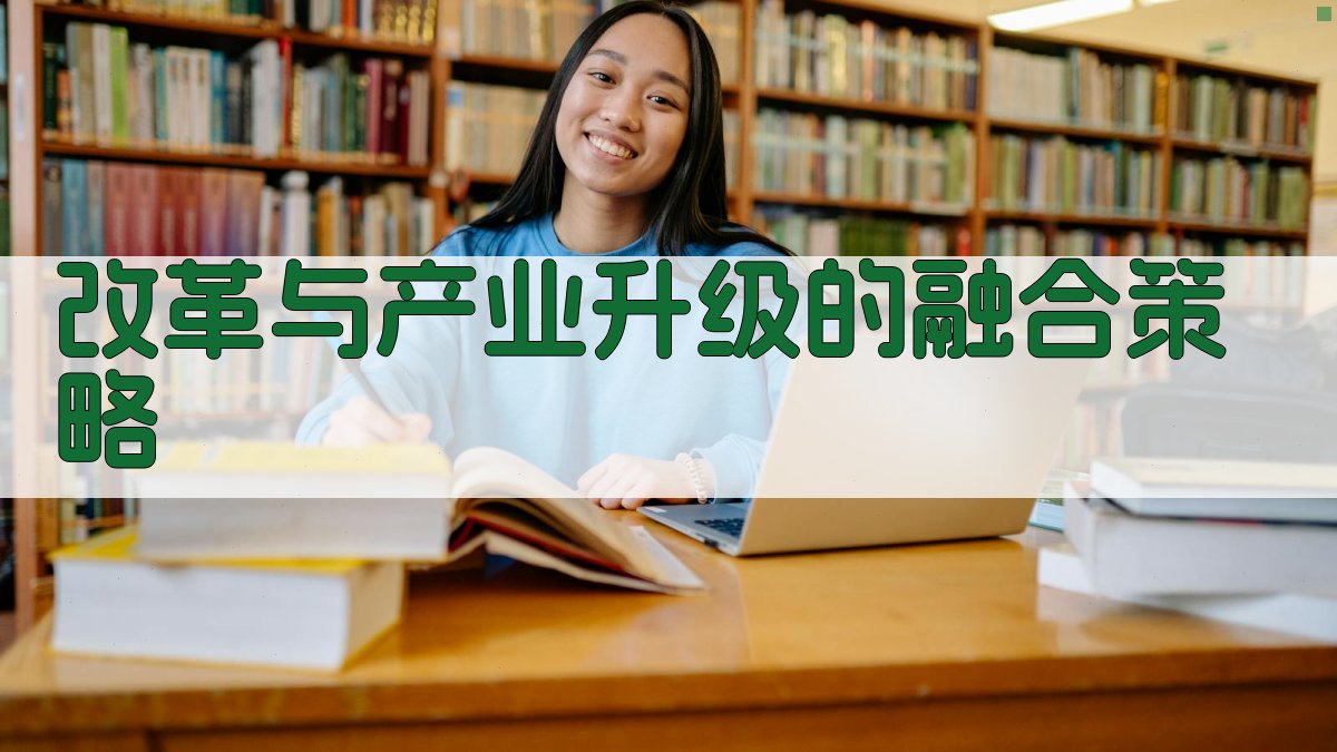 改革与产业升级的融合策略 图1