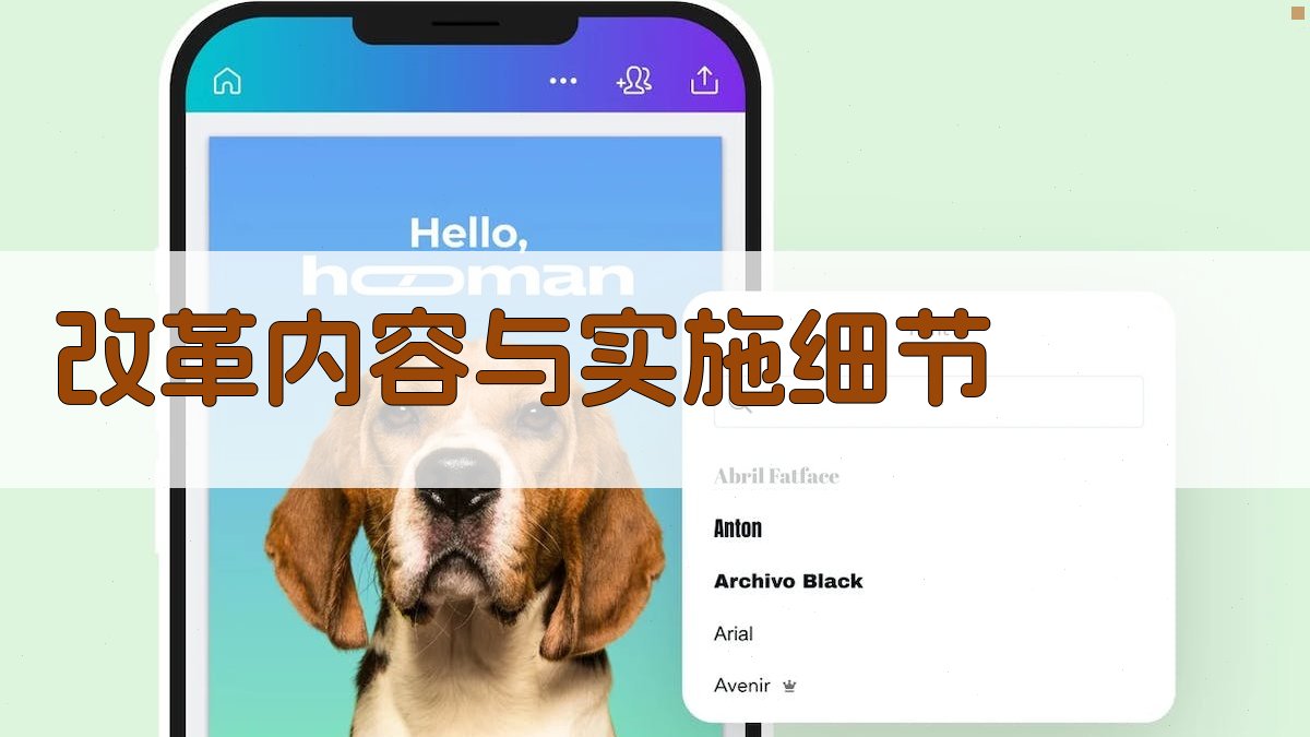 改革内容与实施细节 图2