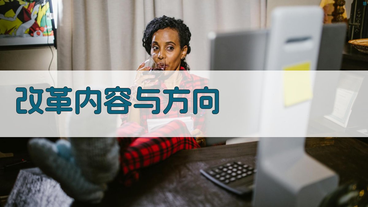 改革内容与方向 图1