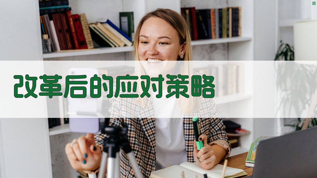 改革后的应对策略 图3