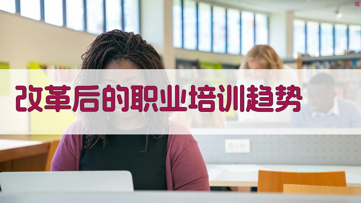 改革后的职业培训趋势 图2