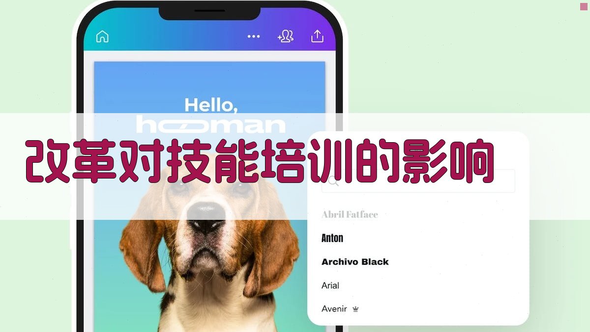 职业资格证改革技能培训的新机遇