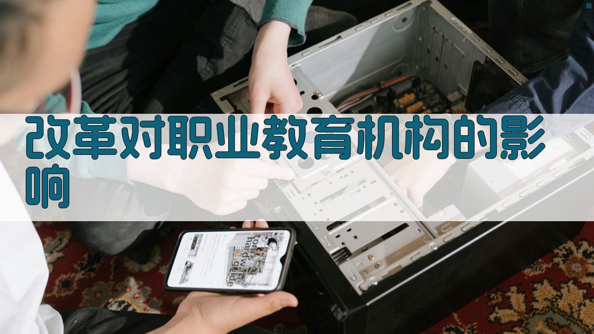 改革对职业教育机构的影响 图1