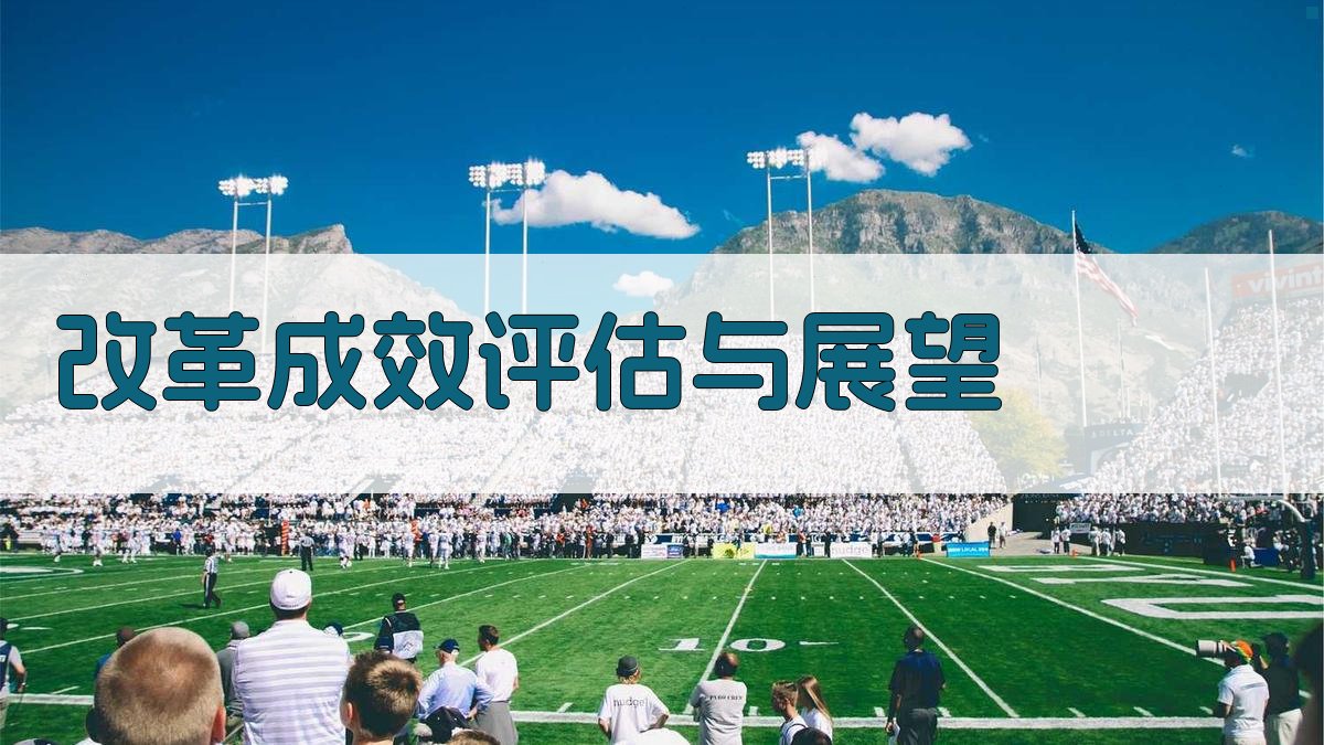 改革成效评估与展望 图4