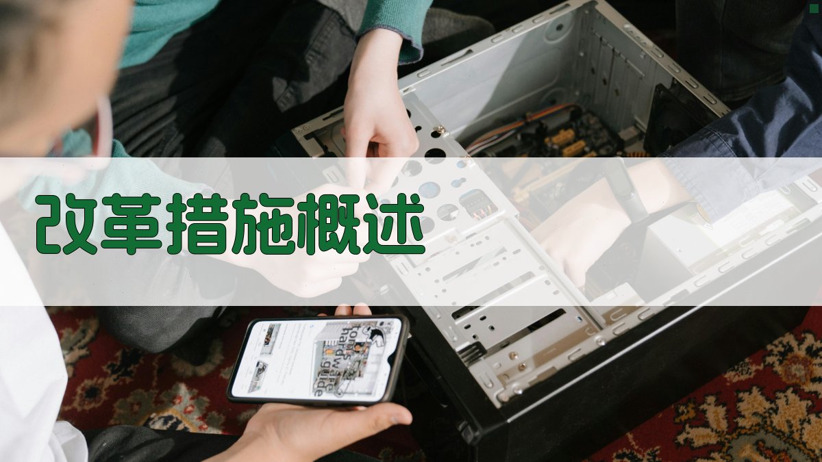 改革措施概述 图2
