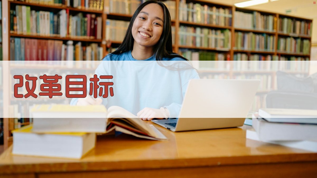 改革目标 图1