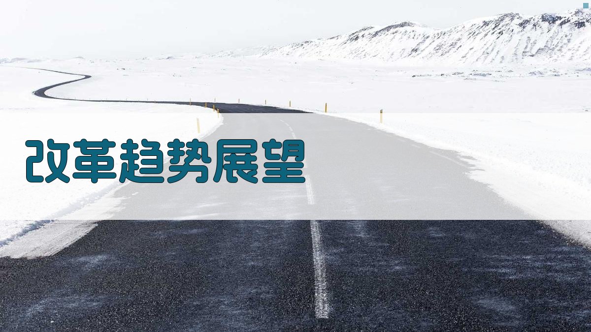 改革趋势展望 图3