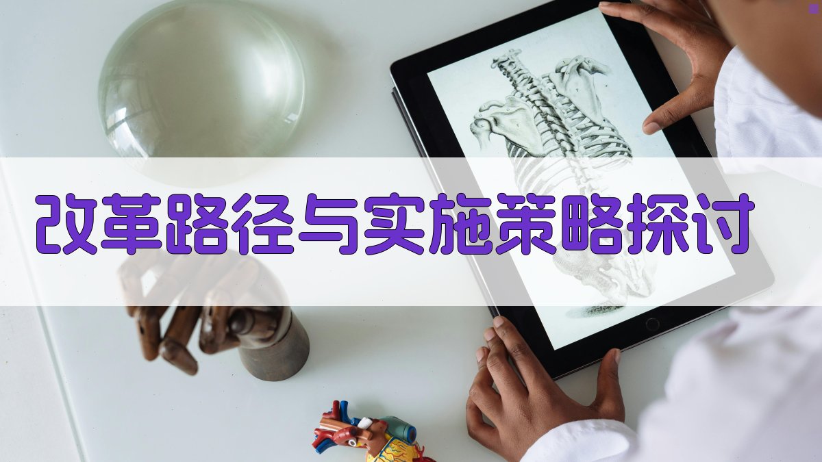 改革路径与实施策略探讨 图3