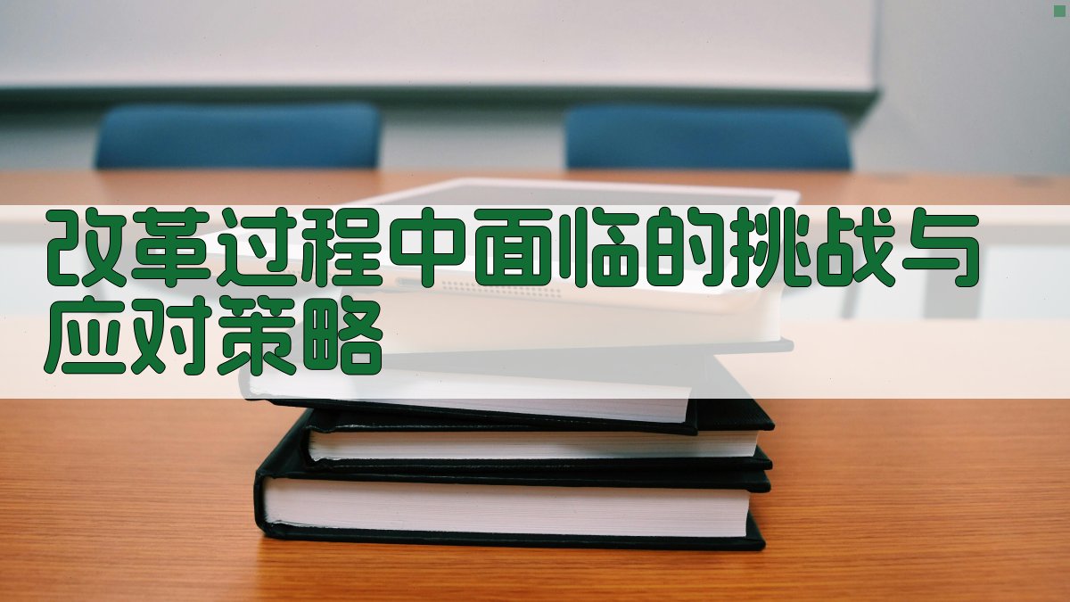 改革过程中面临的挑战与应对策略 图2