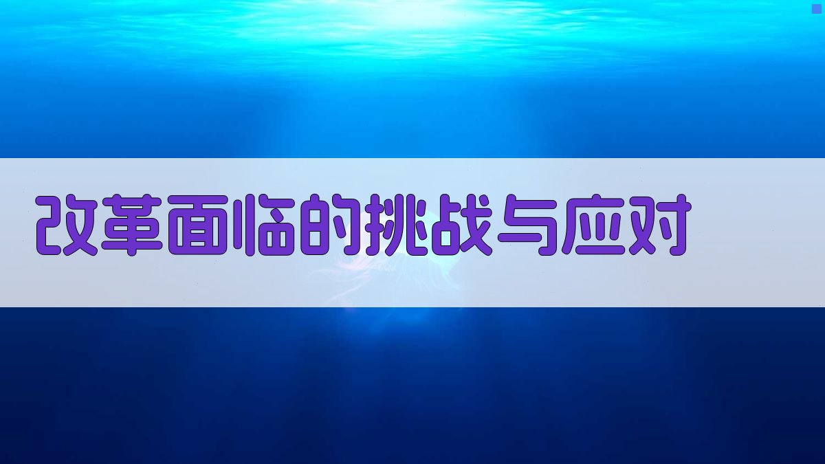 改革面临的挑战与应对 图2