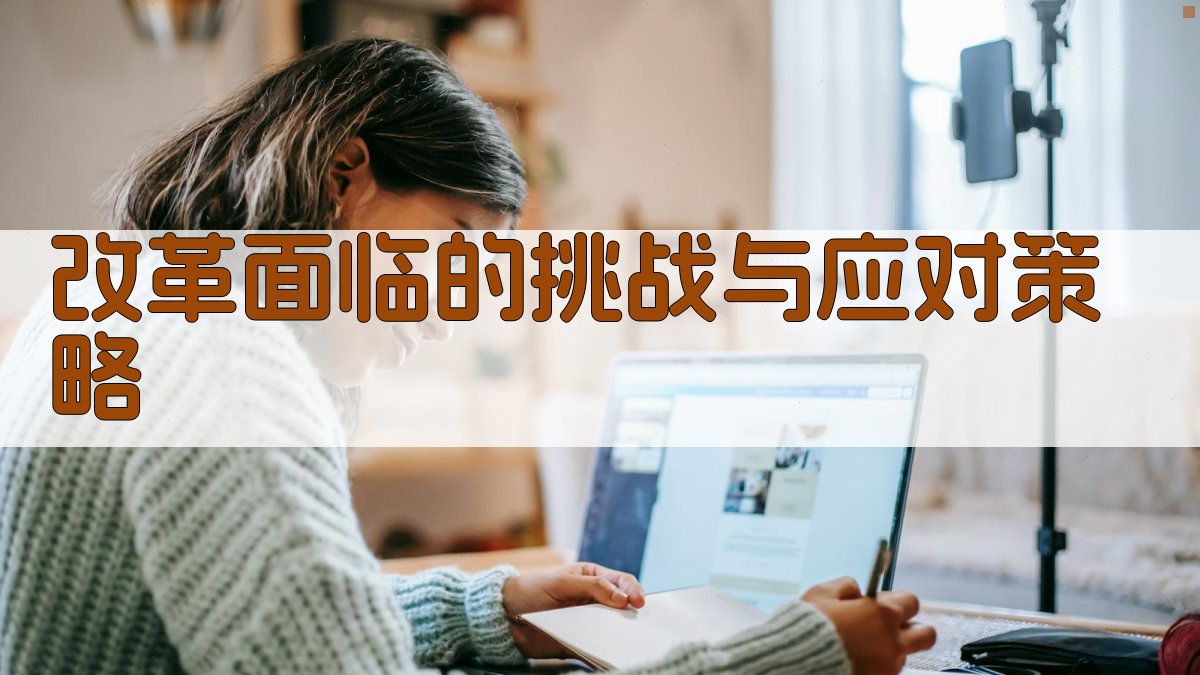 改革面临的挑战与应对策略 图3