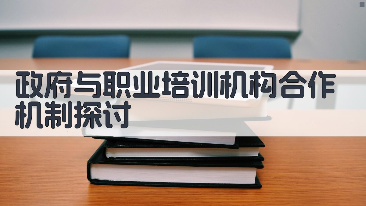 政府与职业培训机构合作机制探讨 图2