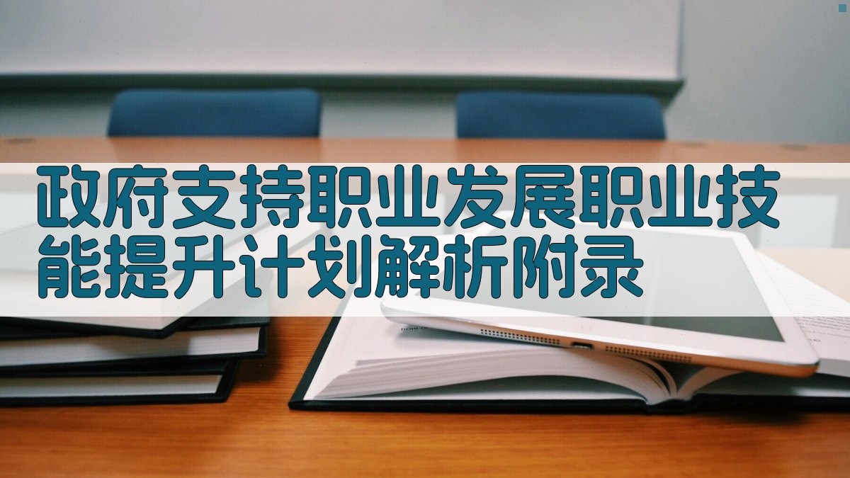 政府支持职业发展职业技能提升计划解析 · 附录 图4