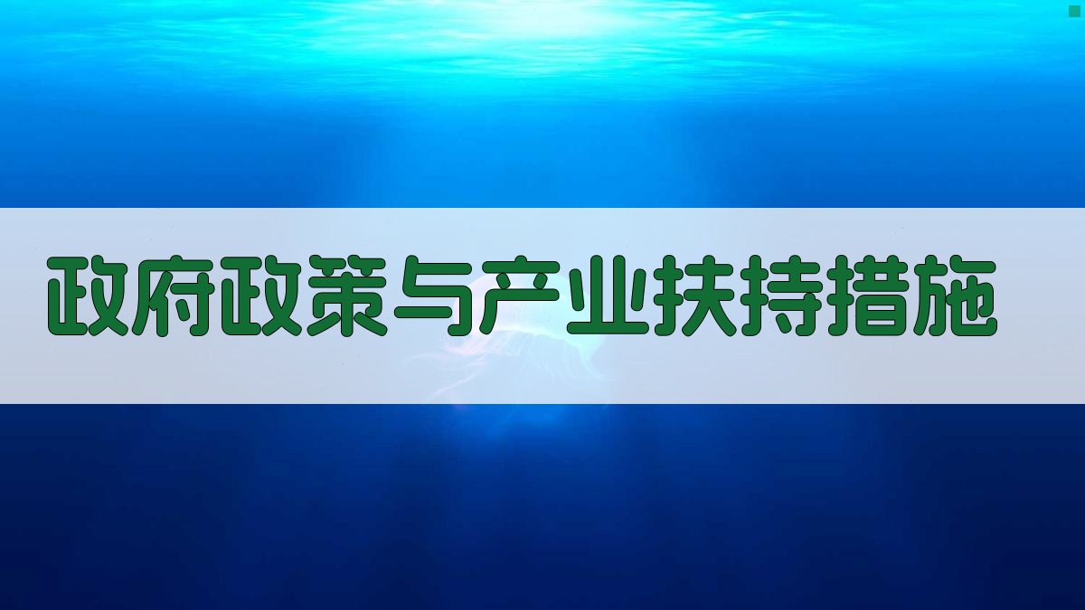 政府政策与产业扶持措施 图3