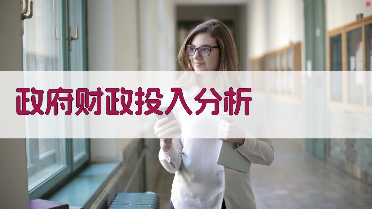 政府财政投入分析 图2