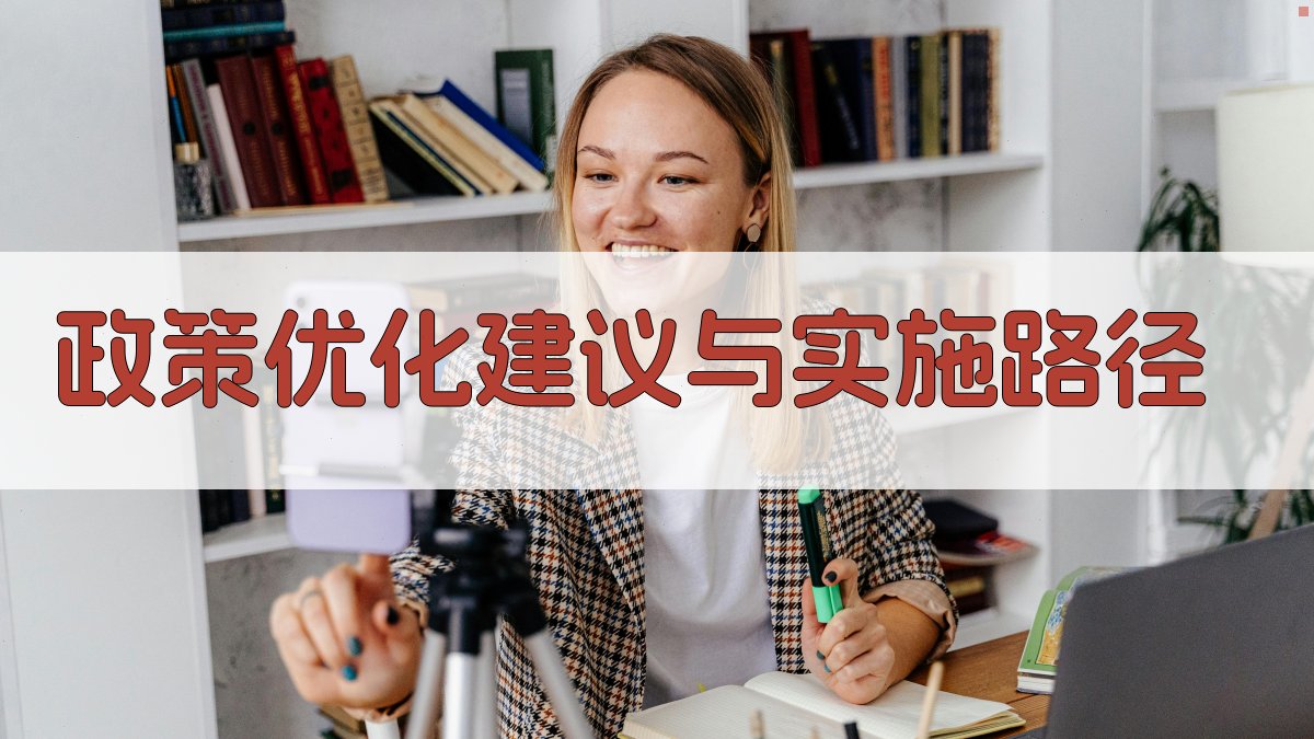 政策优化建议与实施路径 图1