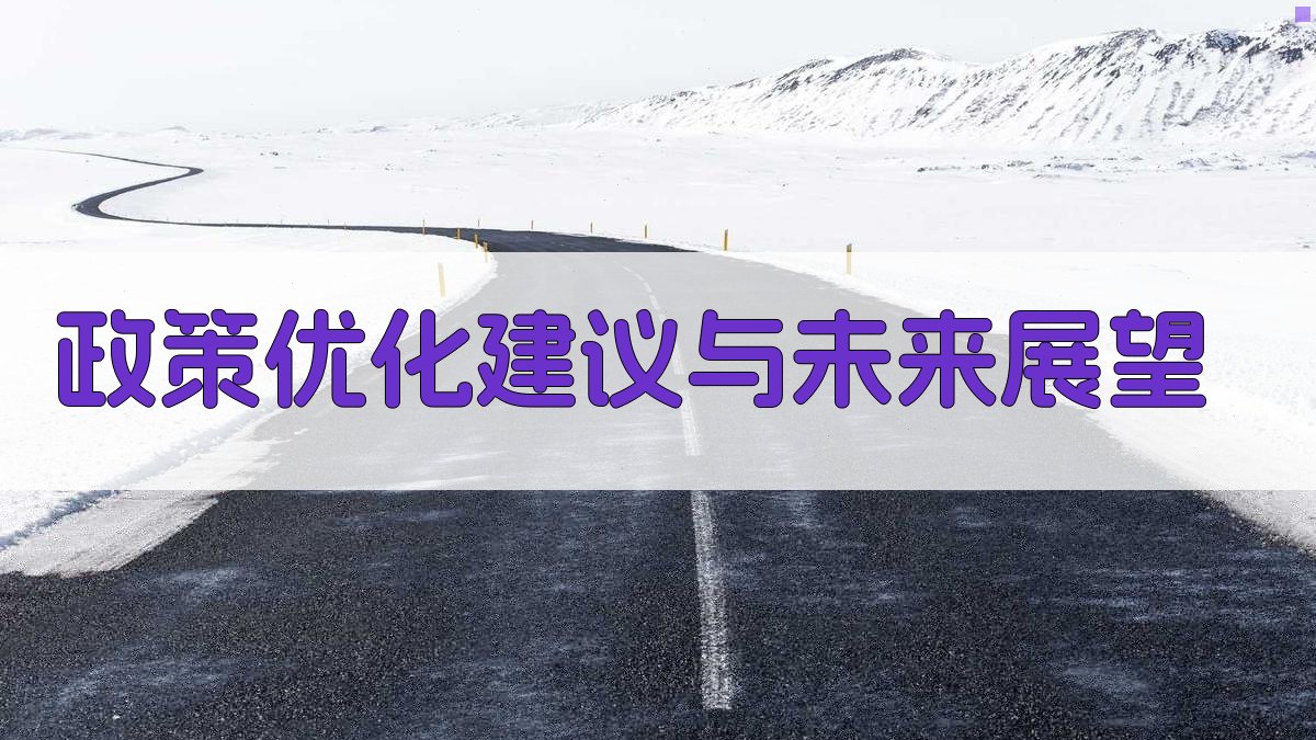 政策优化建议与未来展望 图3