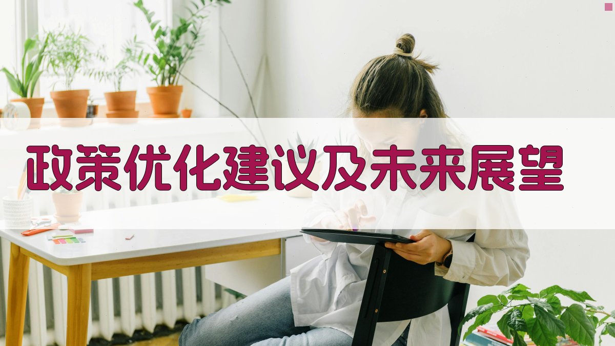 政策优化建议及未来展望 图1