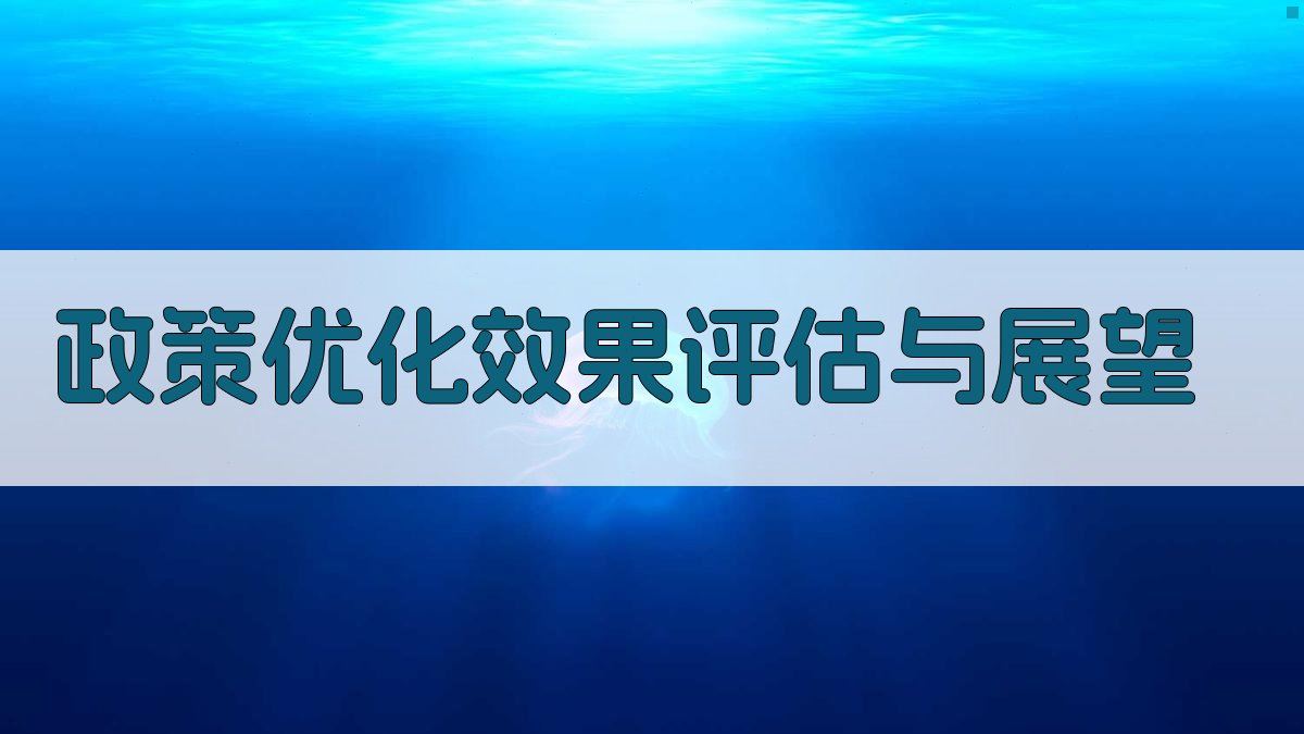 政策优化效果评估与展望 图3