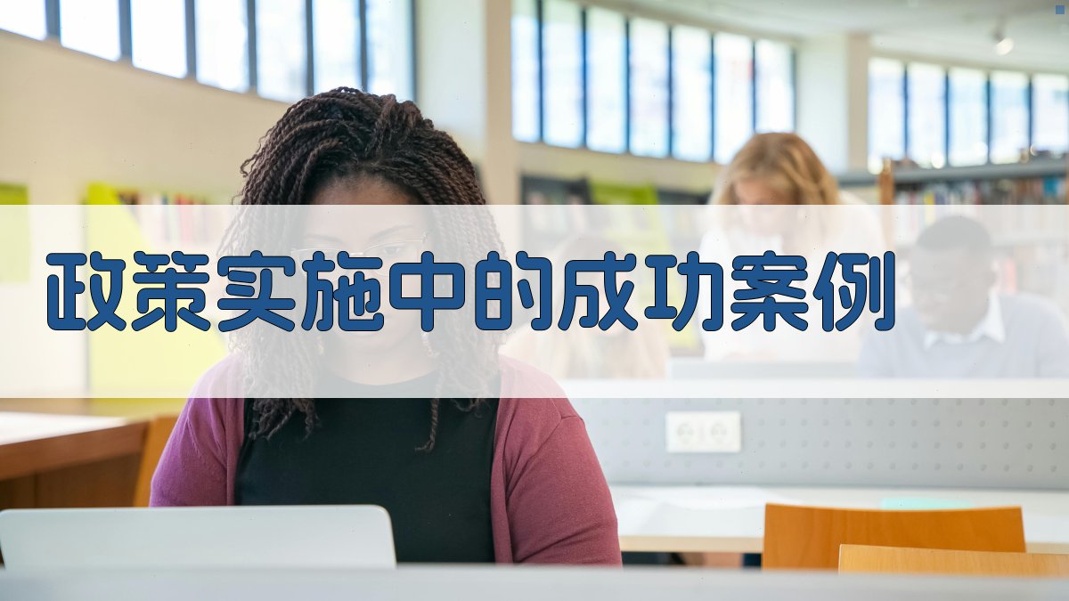 政策实施中的成功案例 图2