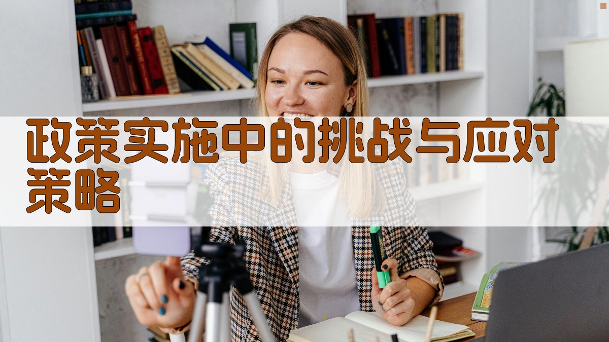 政策实施中的挑战与应对策略 图4