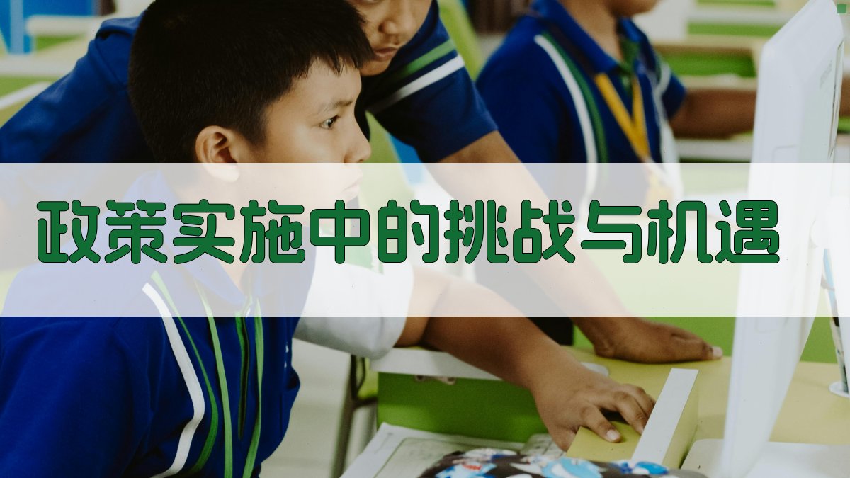 政策实施中的挑战与机遇 图2