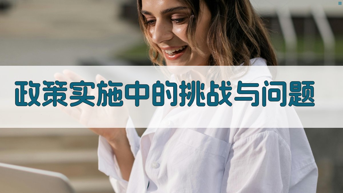 政策实施中的挑战与问题 图3