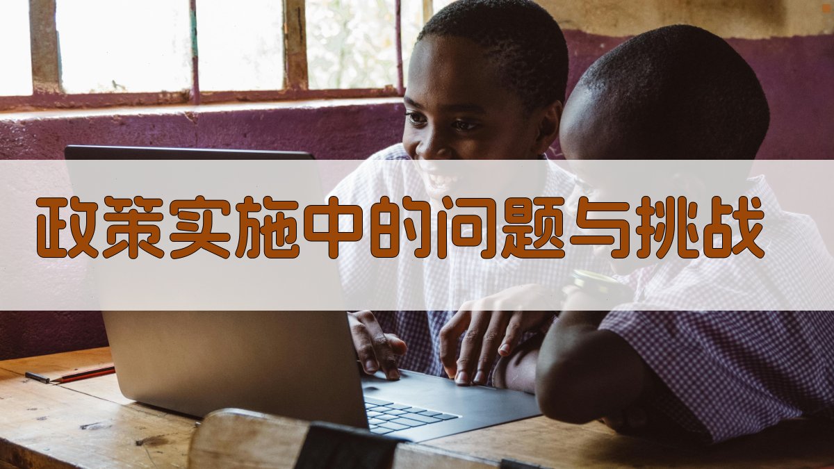政策实施中的问题与挑战 图2