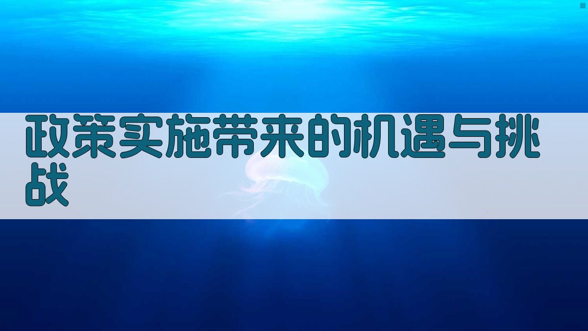 政策实施带来的机遇与挑战 图2