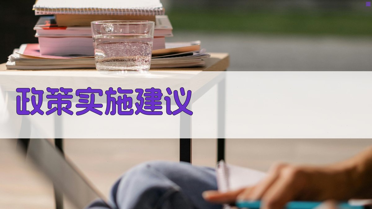 政策实施建议 图4