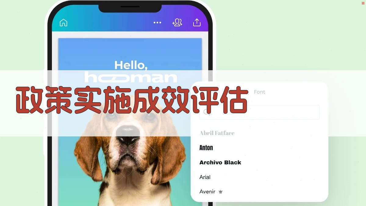 政策实施成效评估 图2