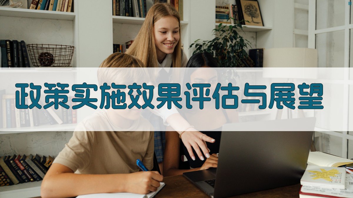政策实施效果评估与展望 图2