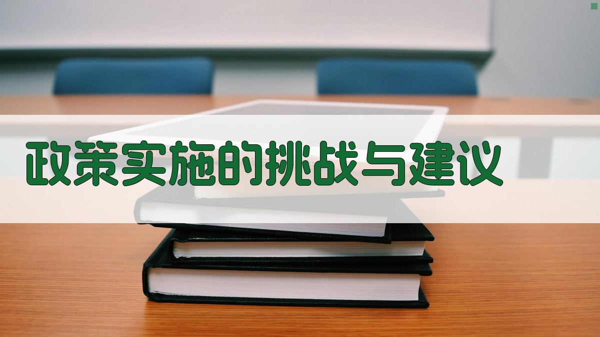 政策实施的挑战与建议 图4