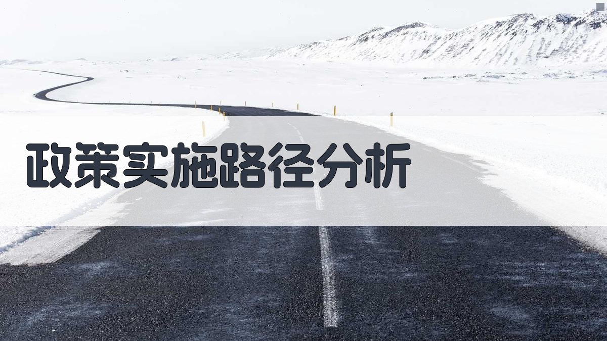 政策实施路径分析 图3