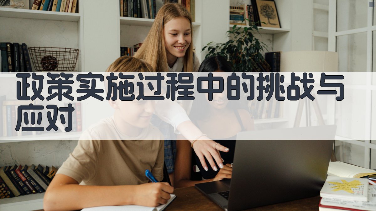 政策实施过程中的挑战与应对 图4